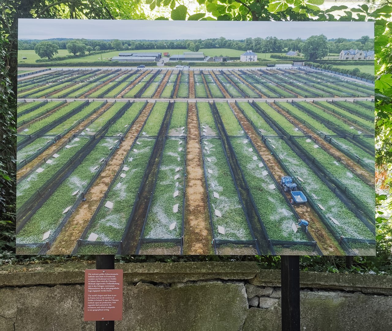 gsteinmetz baden25 052 711