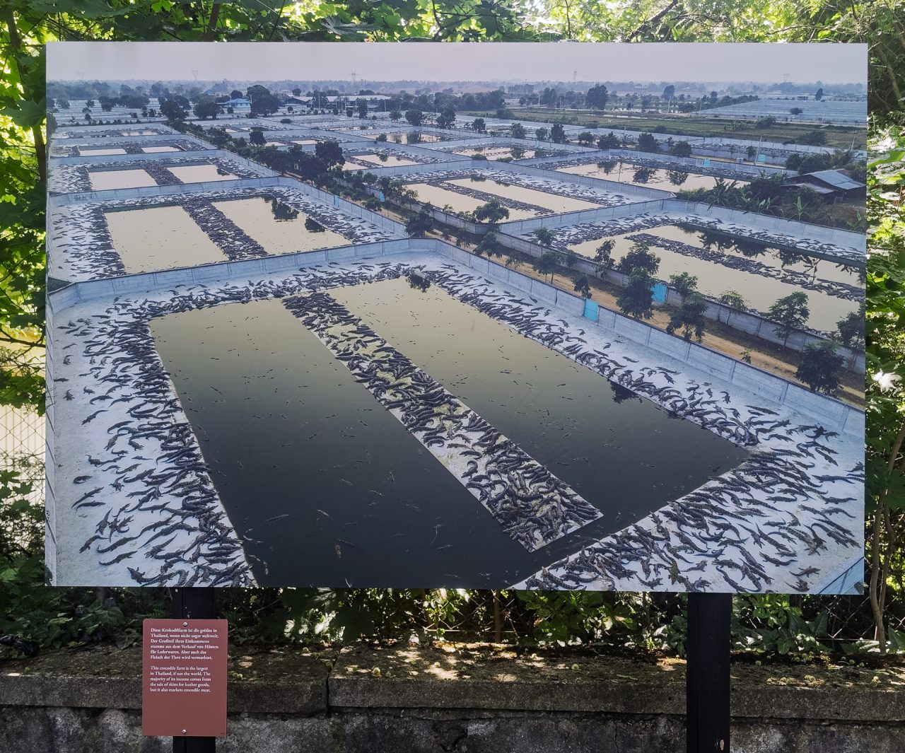 gsteinmetz baden25 053 712