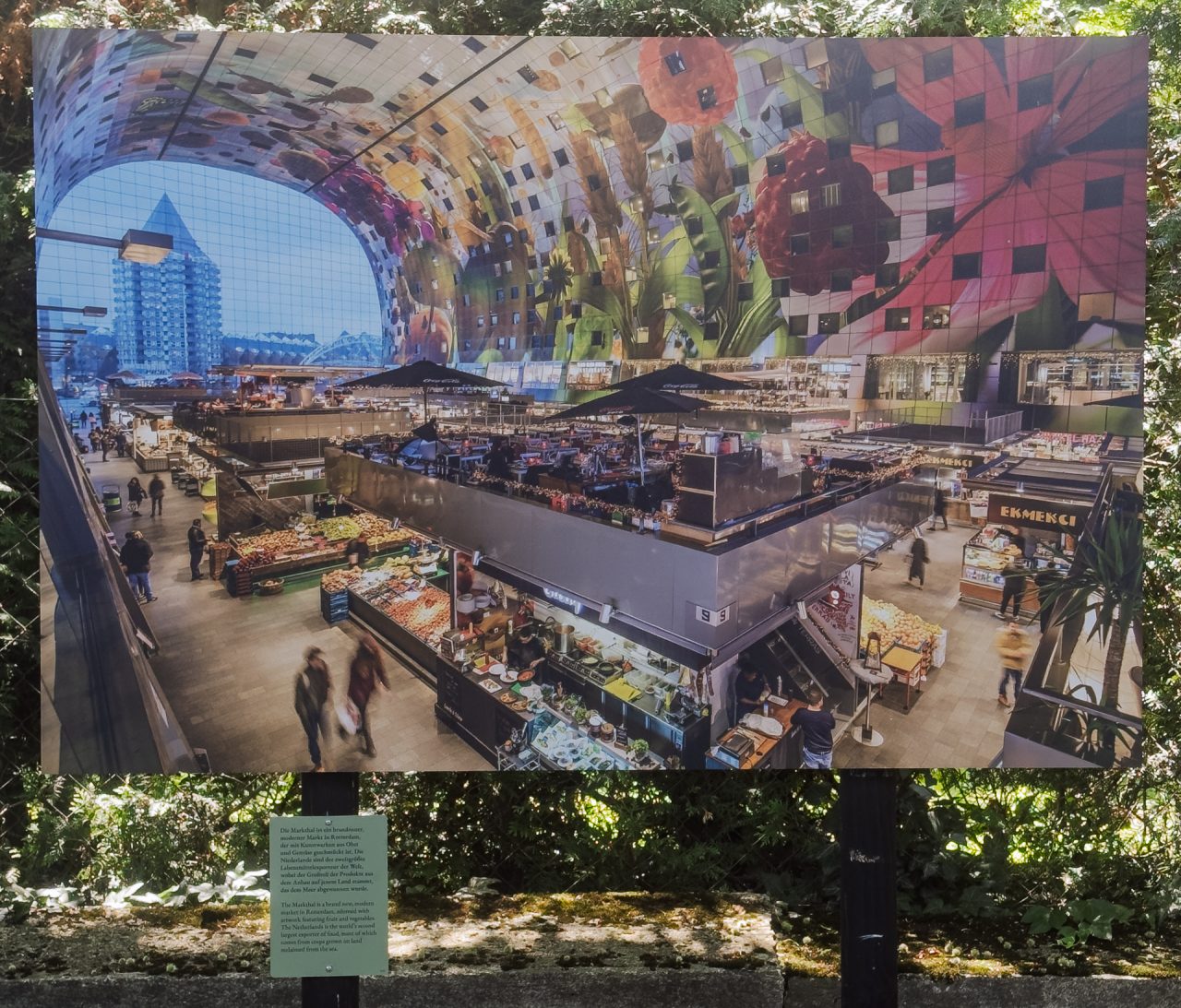 gsteinmetz baden25 056 715