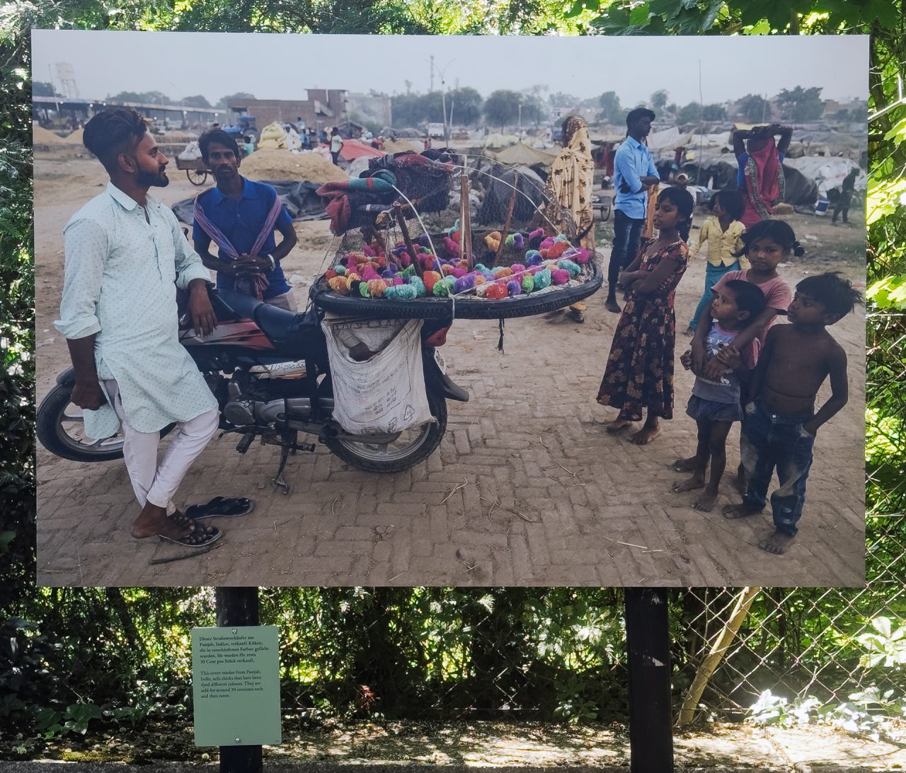 gsteinmetz baden25 057 716