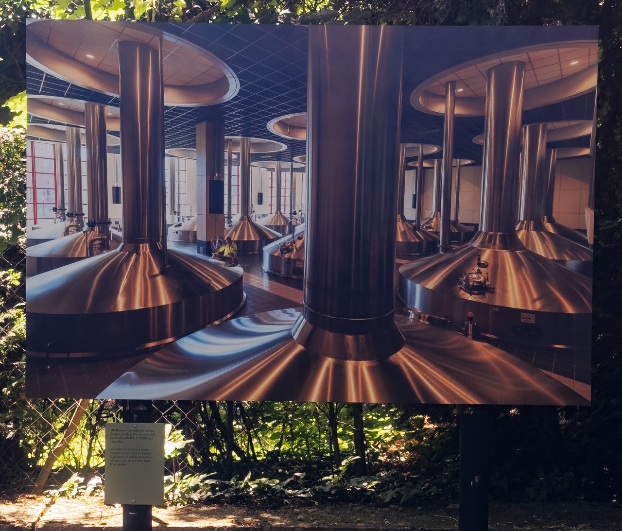 gsteinmetz baden25 058 717