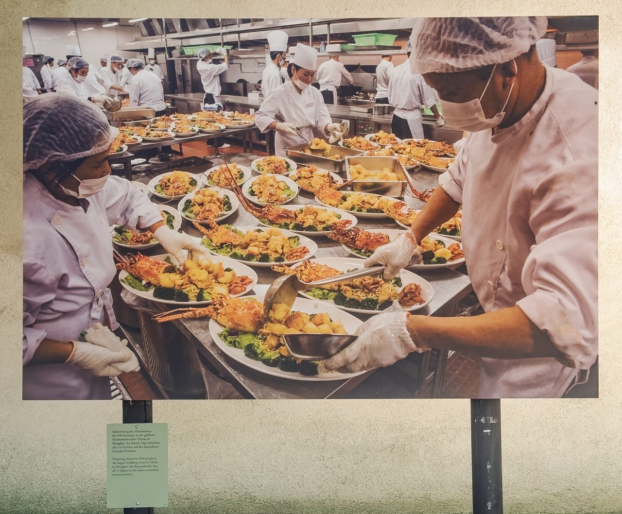 gsteinmetz baden25 064 723