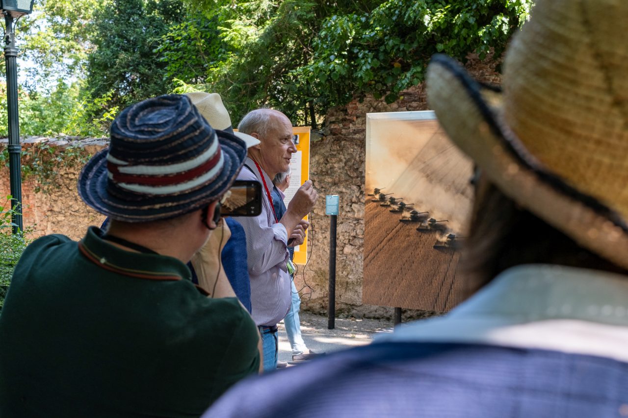 steinmetz walk baden25 359