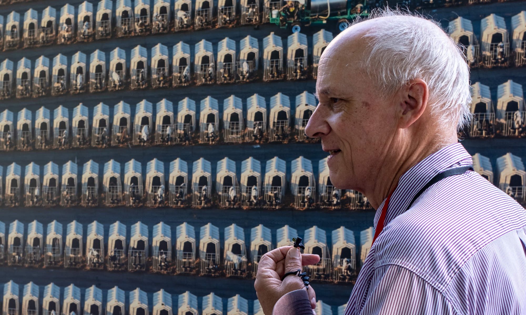 steinmetz walk baden25 389