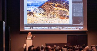 FPC468 – Fotogipfel Oberstdorf: Im Gespräch mit Maike Jarsetz