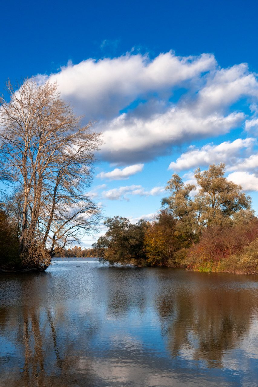 FPC458 - Im goldenen Herbst zur Adobe Max, technischen Dingen und kostenlosen Angeboten 43 Fotopodcast FPC458 4Wochen Thorsten Trumpf Taubergiessen