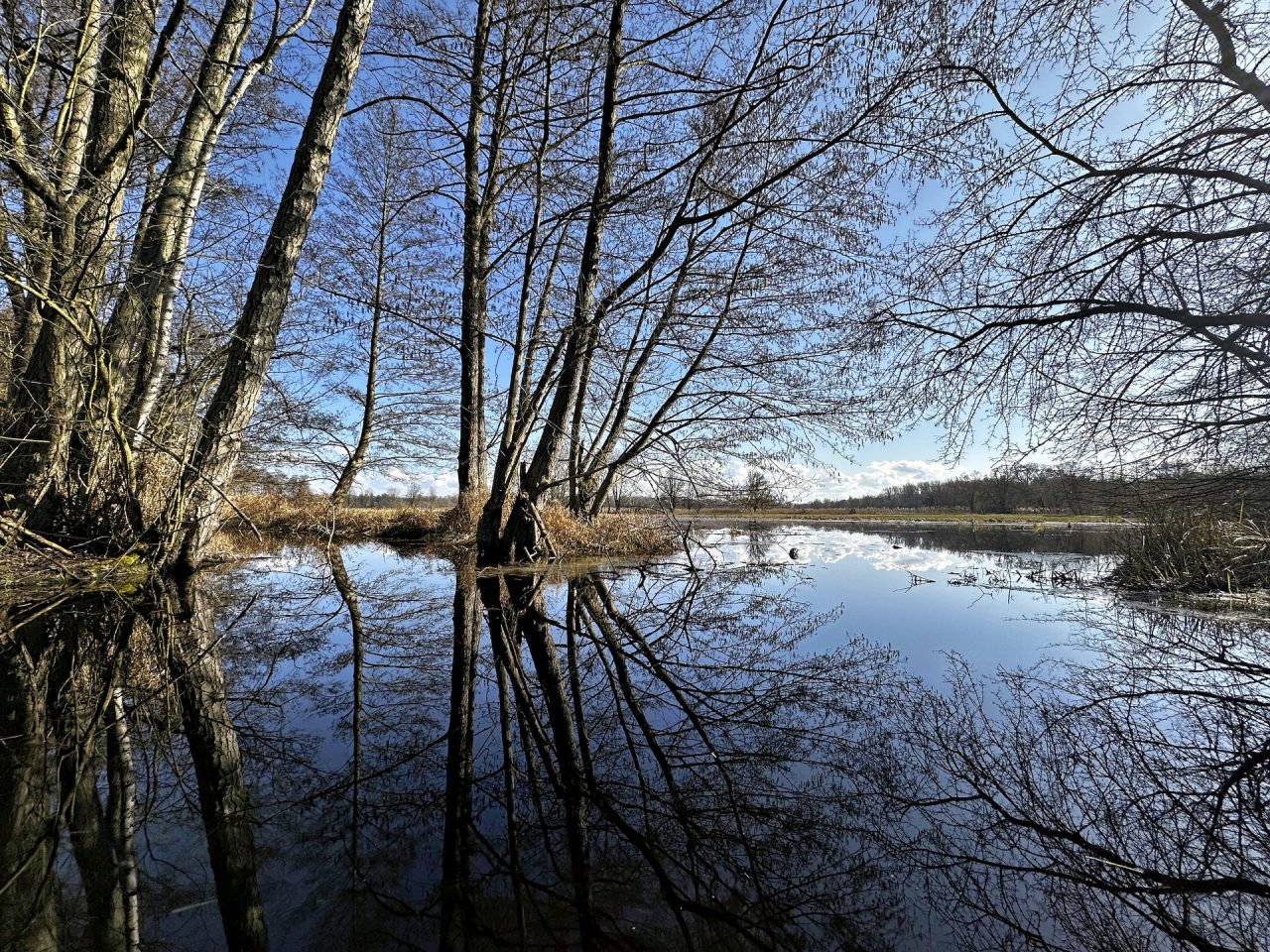 FPC476 4wochen Neufi Wiese am Waldrand 1