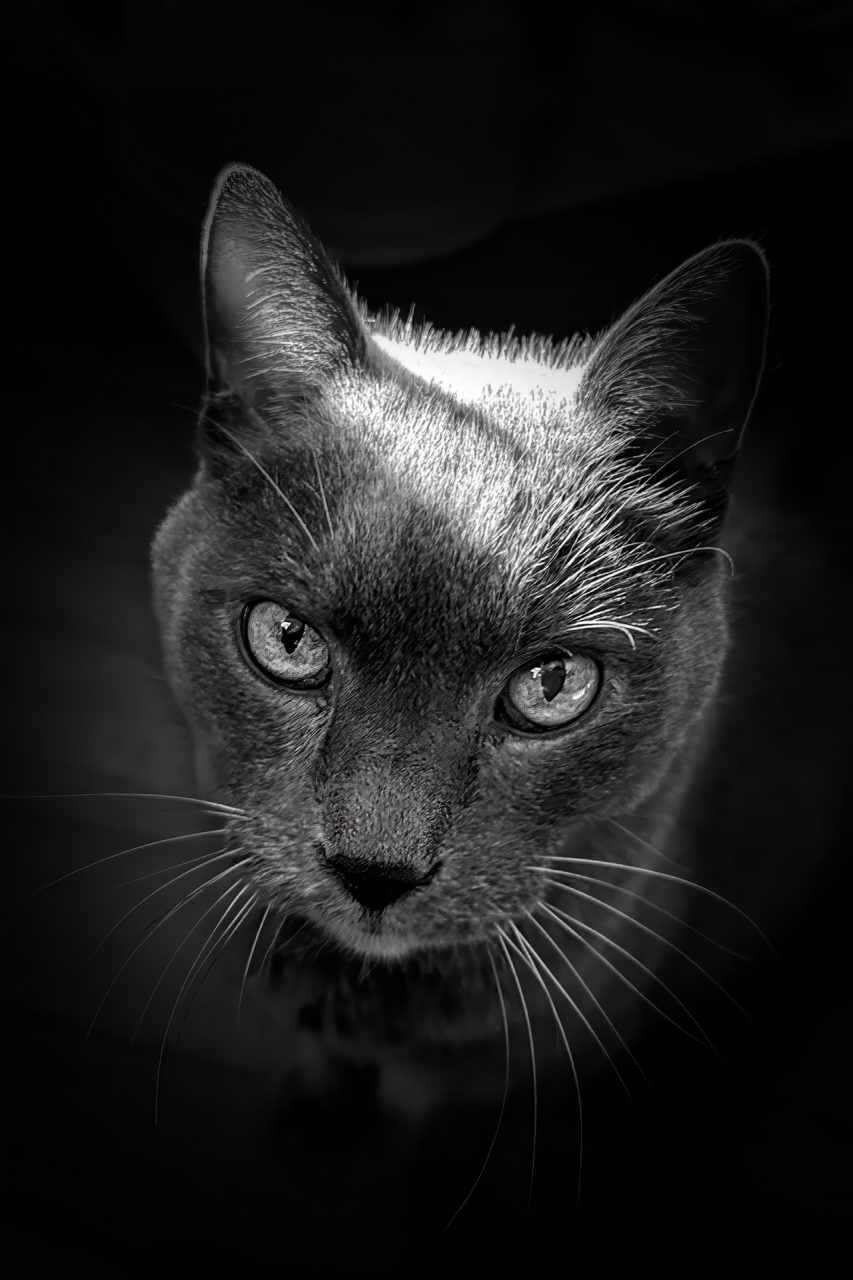 FPC XXX 4Wochen Babblfisch Grimaldi