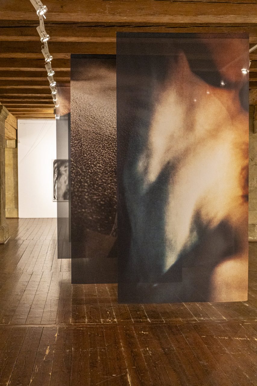 Festival fotografischer Bilder Folge1 44 1