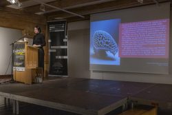 Festival fotografischer Bilder Folge1 45 2