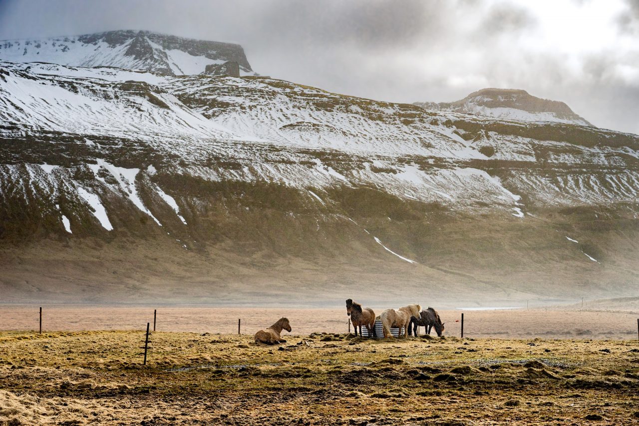 FPC468 - Fotogipfel Oberstdorf: Im Gespräch mit Maike Jarsetz 8 Fotopodcast Natur©MaikeJarsetz 02DSC07729
