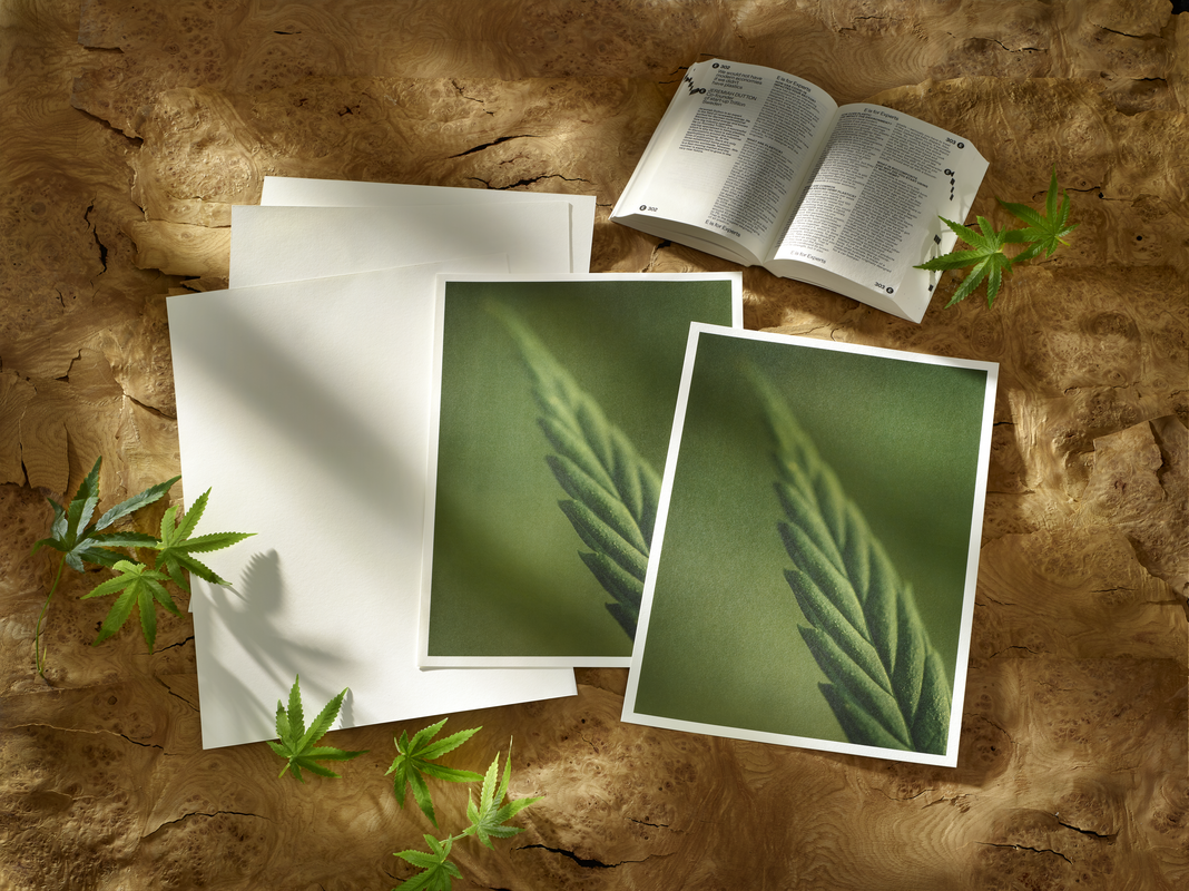 Studio Decor Hahnemuehle Hybrid Hemp MoodShot Landscape scr