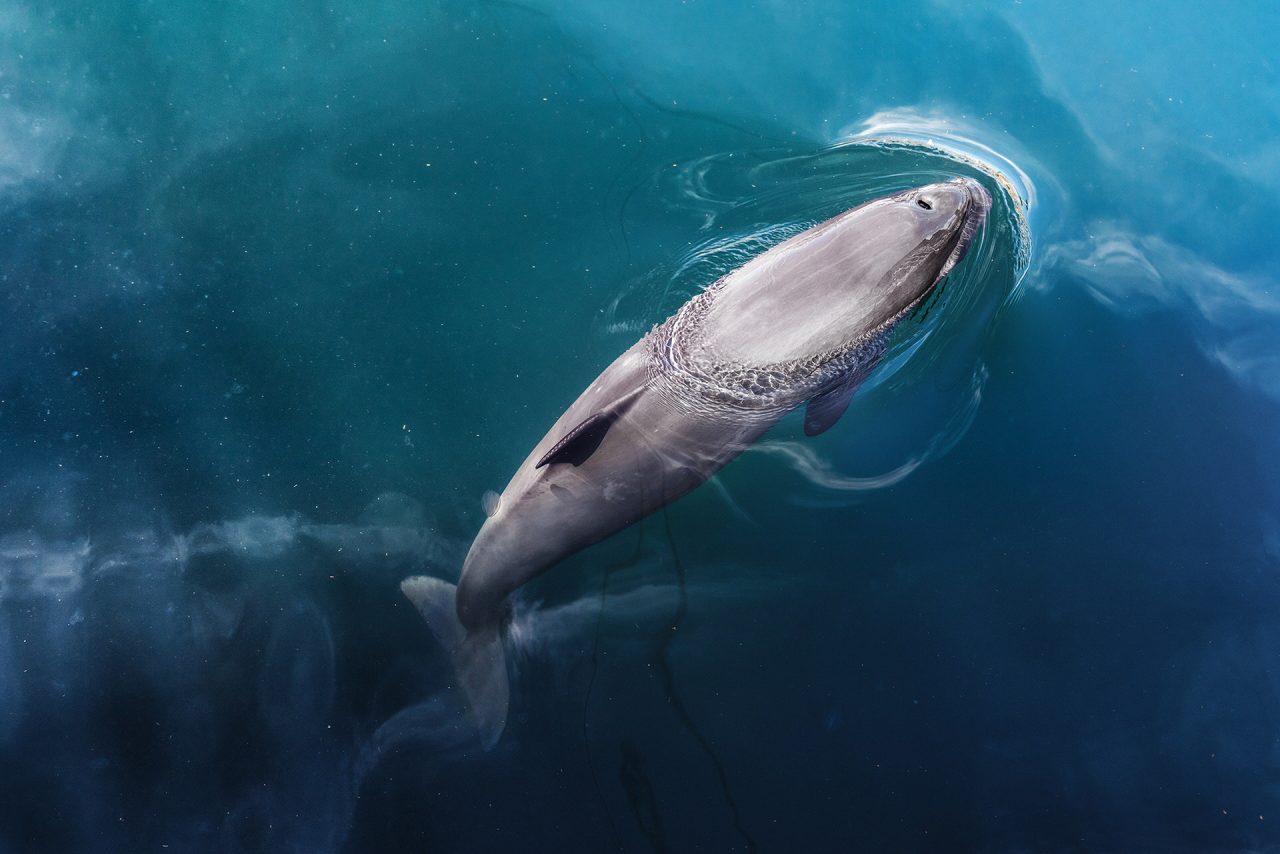 TANNIR Fotopodcast 6