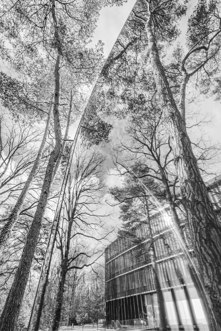 Ursula Juenger Spiegelungen 1