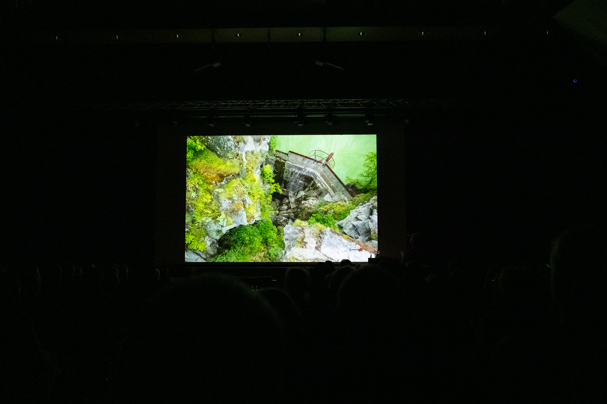 Vortrag Ritschel Podiumsdiskussion Ulrike20250704 f 0488