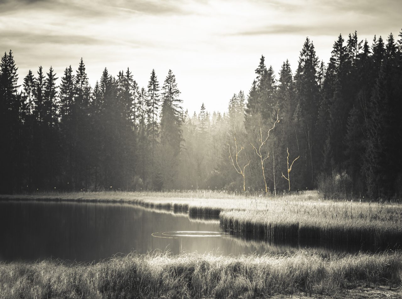 c Nicola Hackl Haslinger Silence II 2018 25