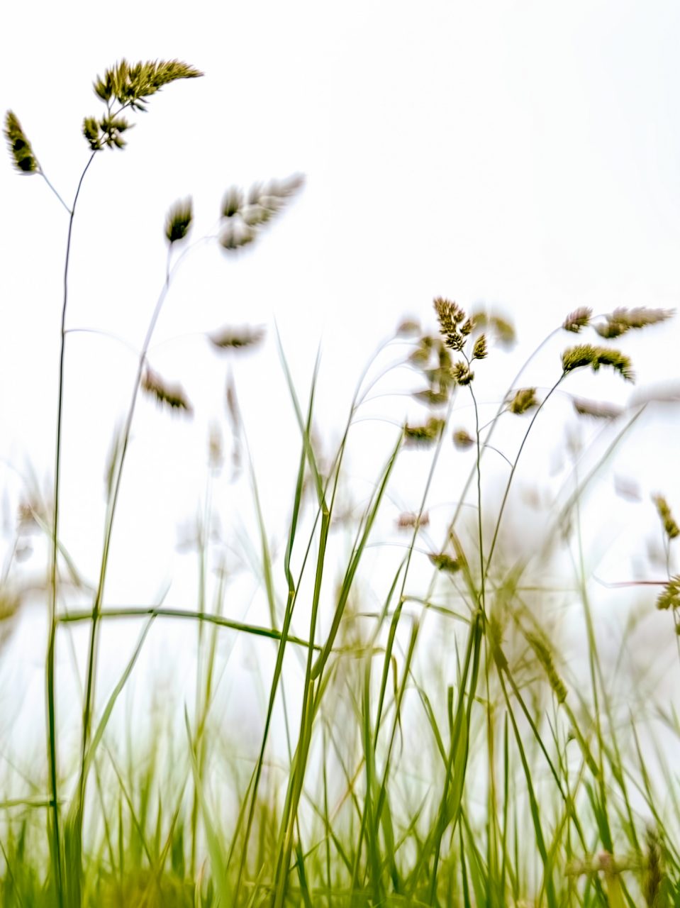 Ausbeute aus dem Workshop Naturfotografie Fellhorn/Schappoldsee