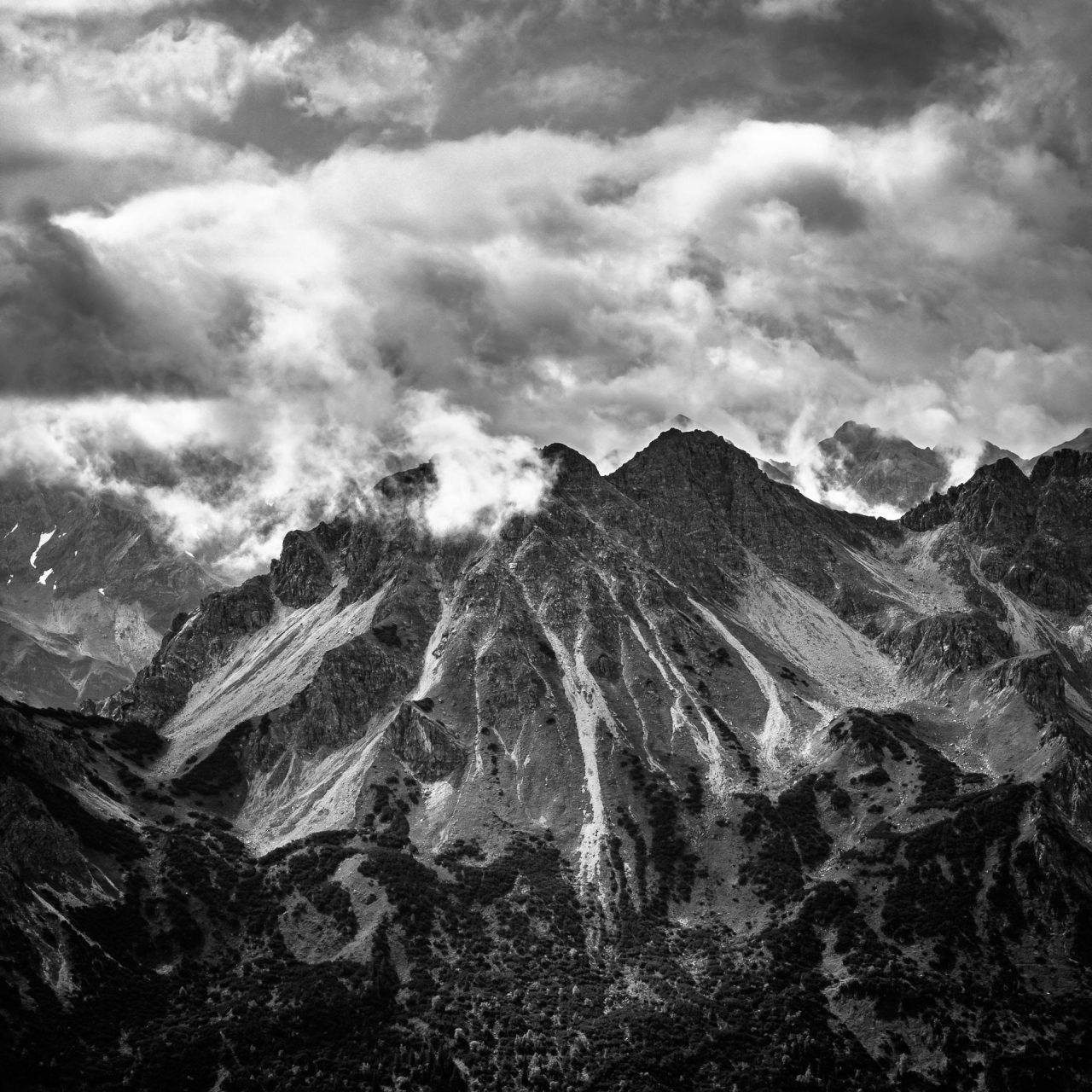 Ausbeute aus dem Workshop Naturfotografie Fellhorn/Schappoldsee