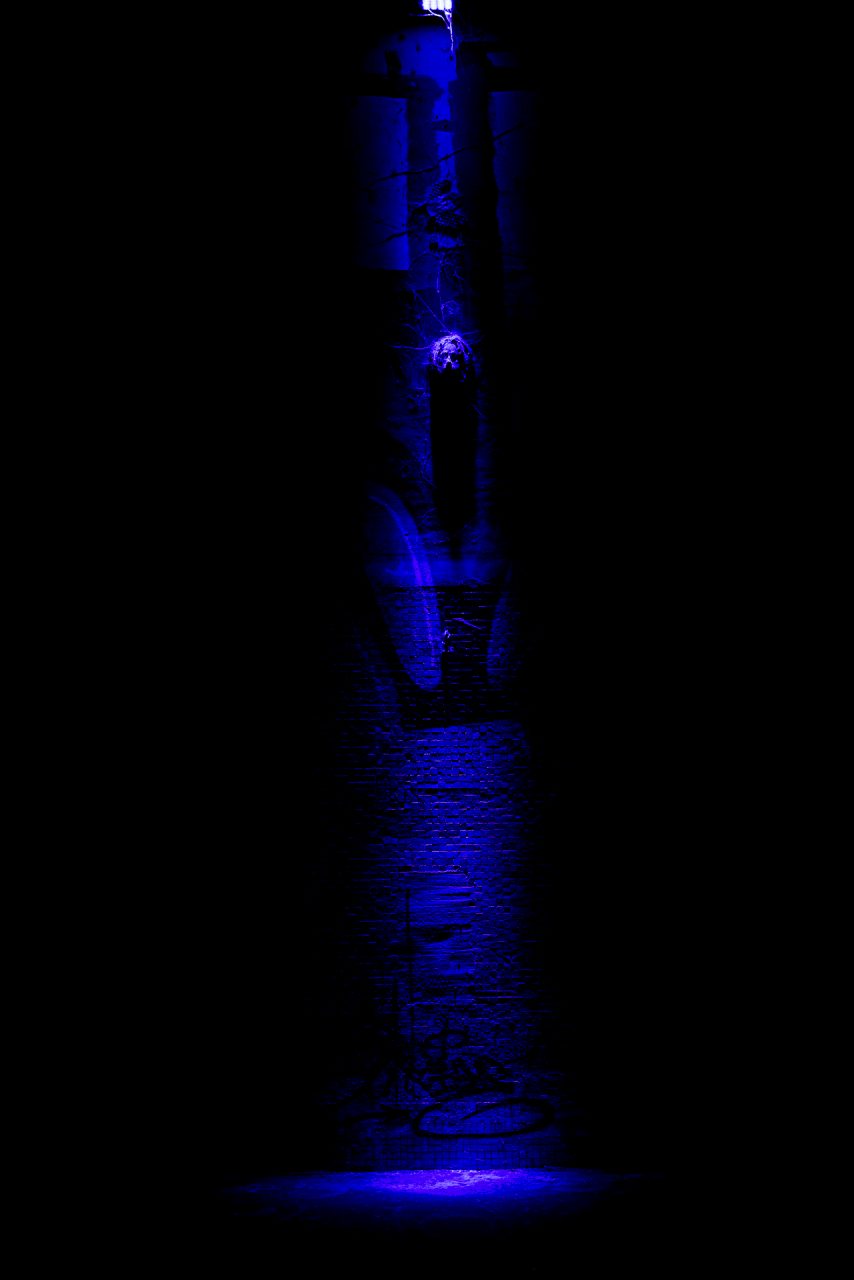 FPC458 - Im goldenen Herbst zur Adobe Max, technischen Dingen und kostenlosen Angeboten 18 Fotopodcast fpc458 4Wochen MEW Paris 8