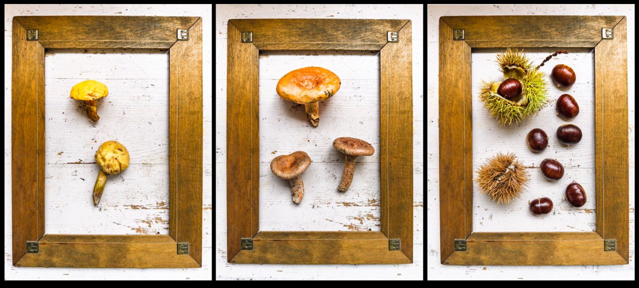 FPC458 - Im goldenen Herbst zur Adobe Max, technischen Dingen und kostenlosen Angeboten 29 Fotopodcast fpc458 4Wochen thomas herstt riptychon