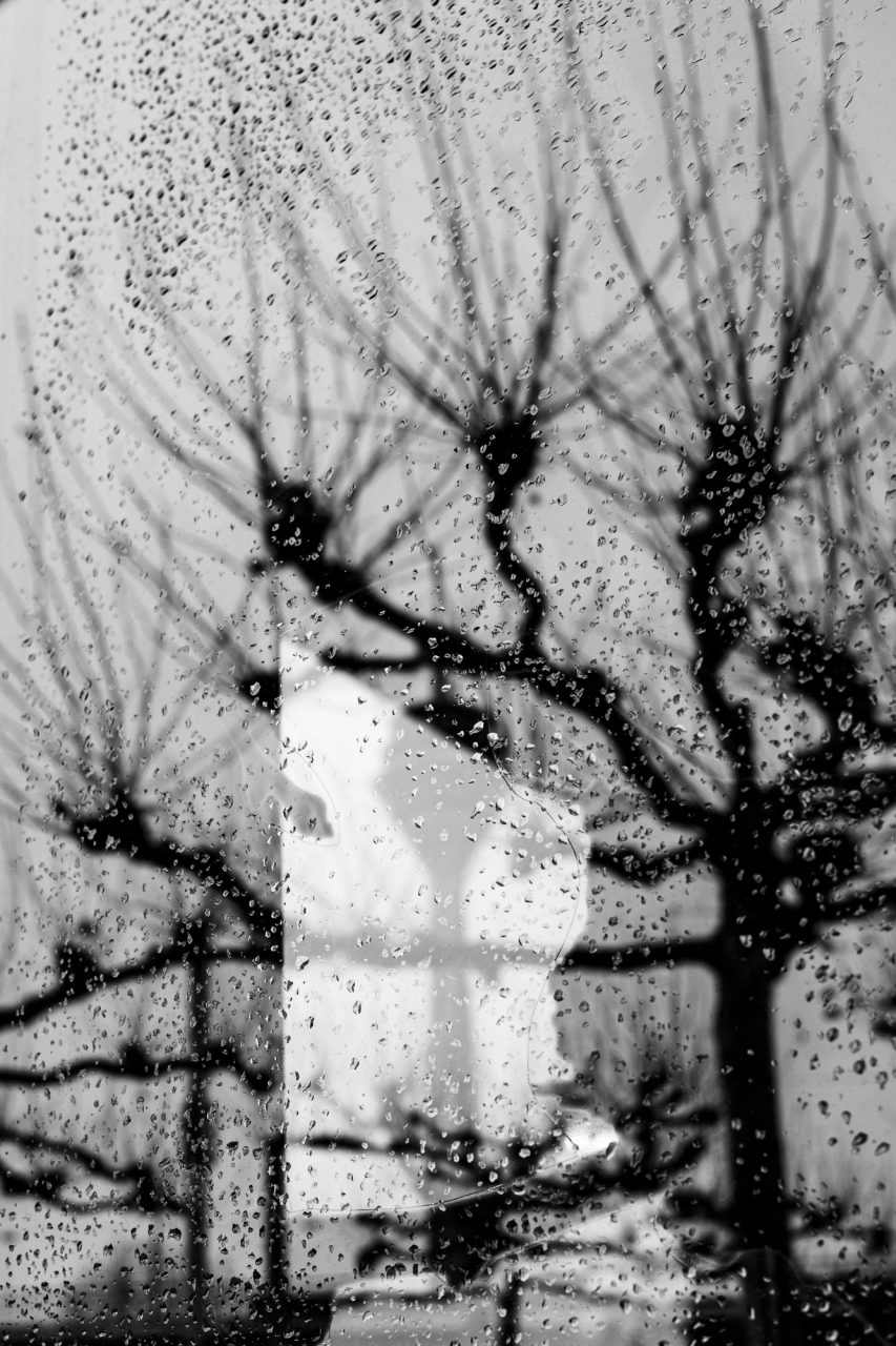 fpc462 4Wochen Ulrike Novembertristesse