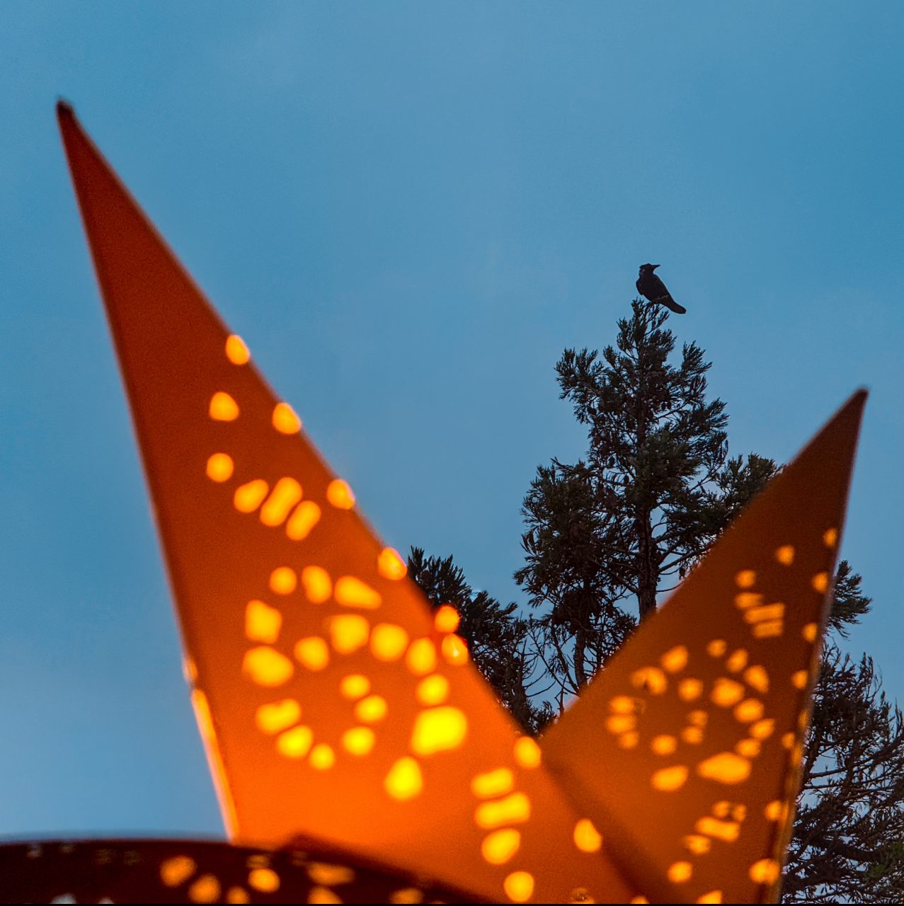 FPC467 - Unausgesprochene Zweideutigkeien im neuen Jahr 5 Fotopodcast fpc467 4wochen thomas spitzenwaechter