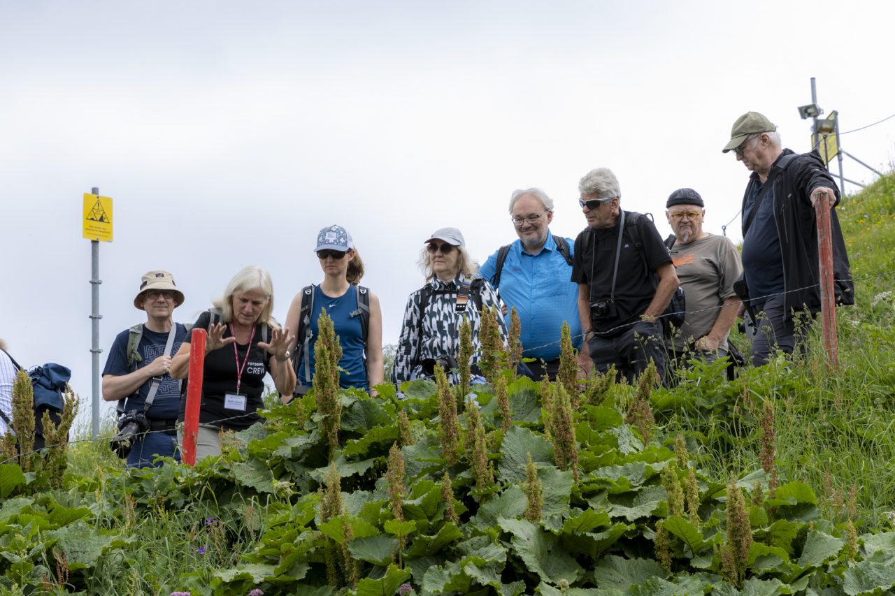 FPC468 - Fotogipfel Oberstdorf: Im Gespräch mit Maike Jarsetz 18 Fotopodcast fpc468 10 von 27