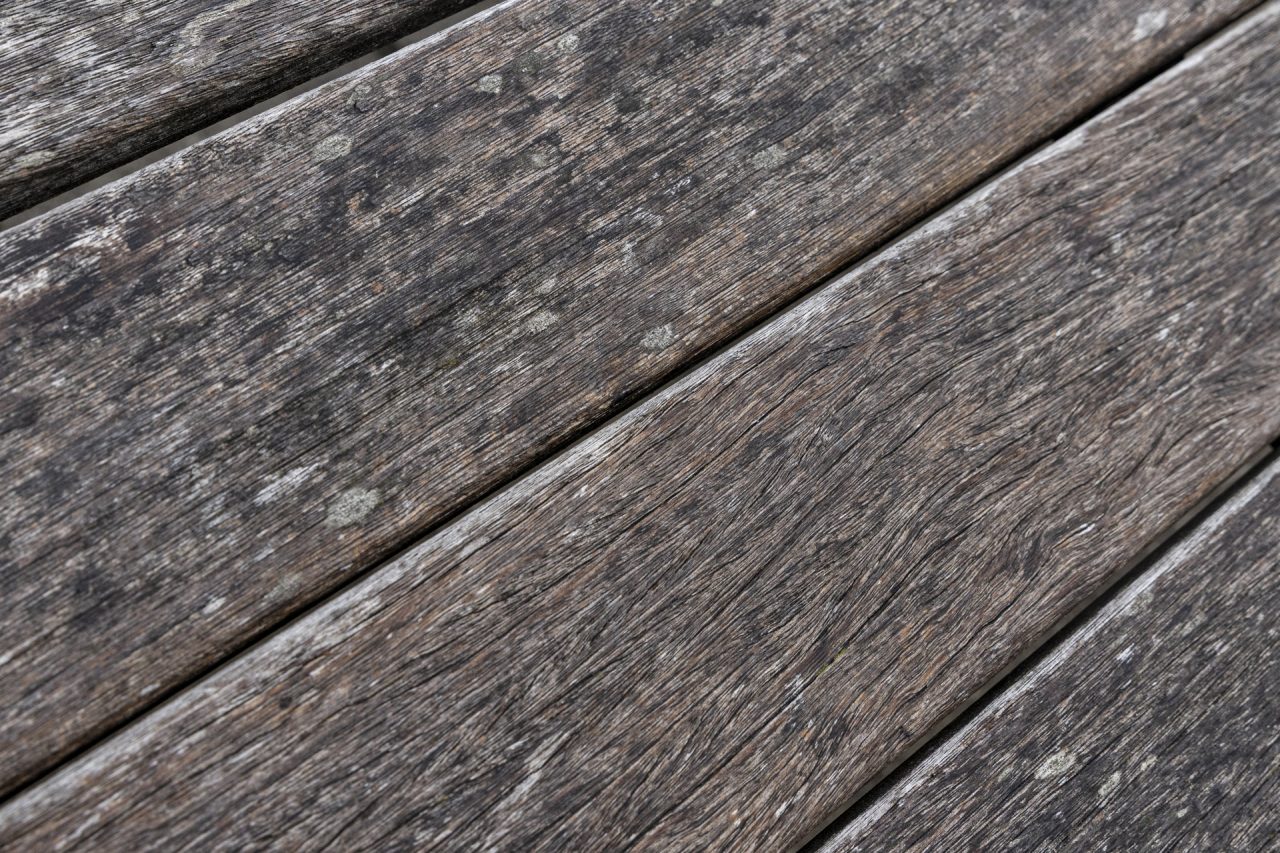 FPC468 - Fotogipfel Oberstdorf: Im Gespräch mit Maike Jarsetz 20 Fotopodcast fpc468 11 von 27