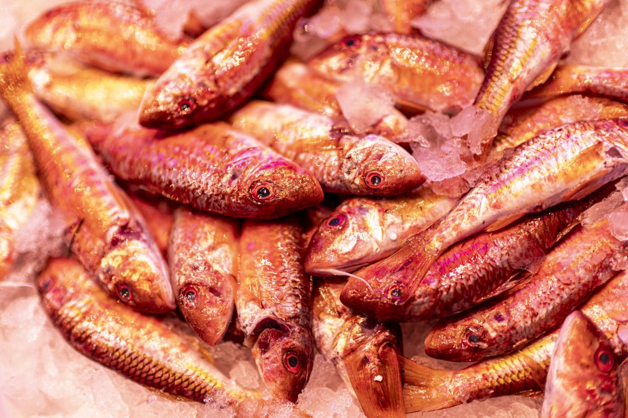 FPC480 - Farben in die Vergangenheit, Madrid offenblendig und jede Menge Community hier wie da 15 Fotopodcast fpc480 MEW RF 45mm 5 f1.2