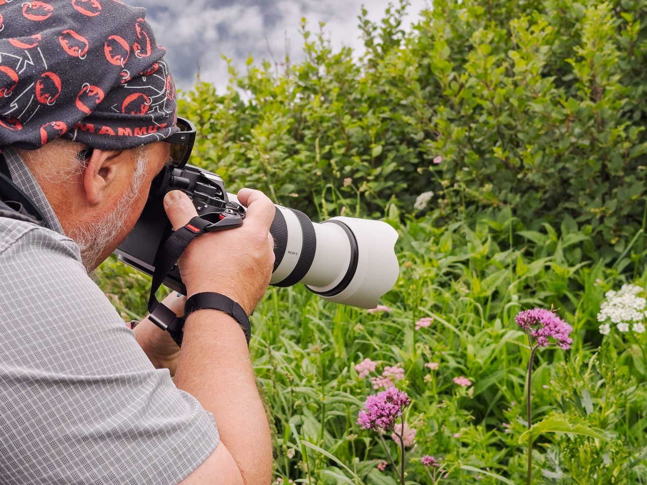 FPC478 - Fotogipfel Oberstdorf: Klaus Wohlmann - Workshopleiter und Fotograf 16 Fotopodcast Einblick in den Workshop "Naturfotografie am Fellhorn/Schappoldsee" mit Klaus Wohlmann