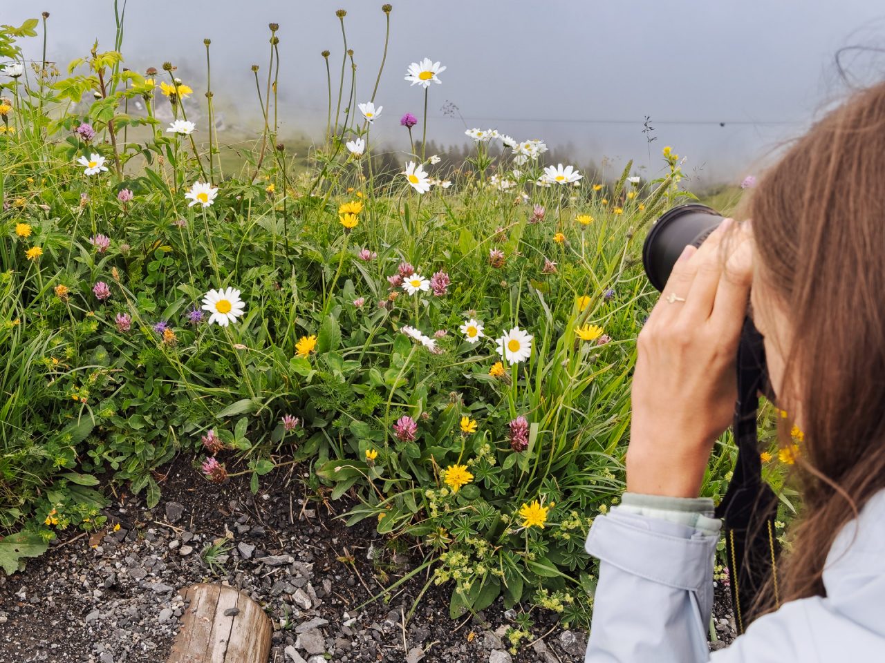 FPC478 - Fotogipfel Oberstdorf: Klaus Wohlmann - Workshopleiter und Fotograf 17 Fotopodcast Einblick in den Workshop "Naturfotografie am Fellhorn/Schappoldsee" mit Klaus Wohlmann