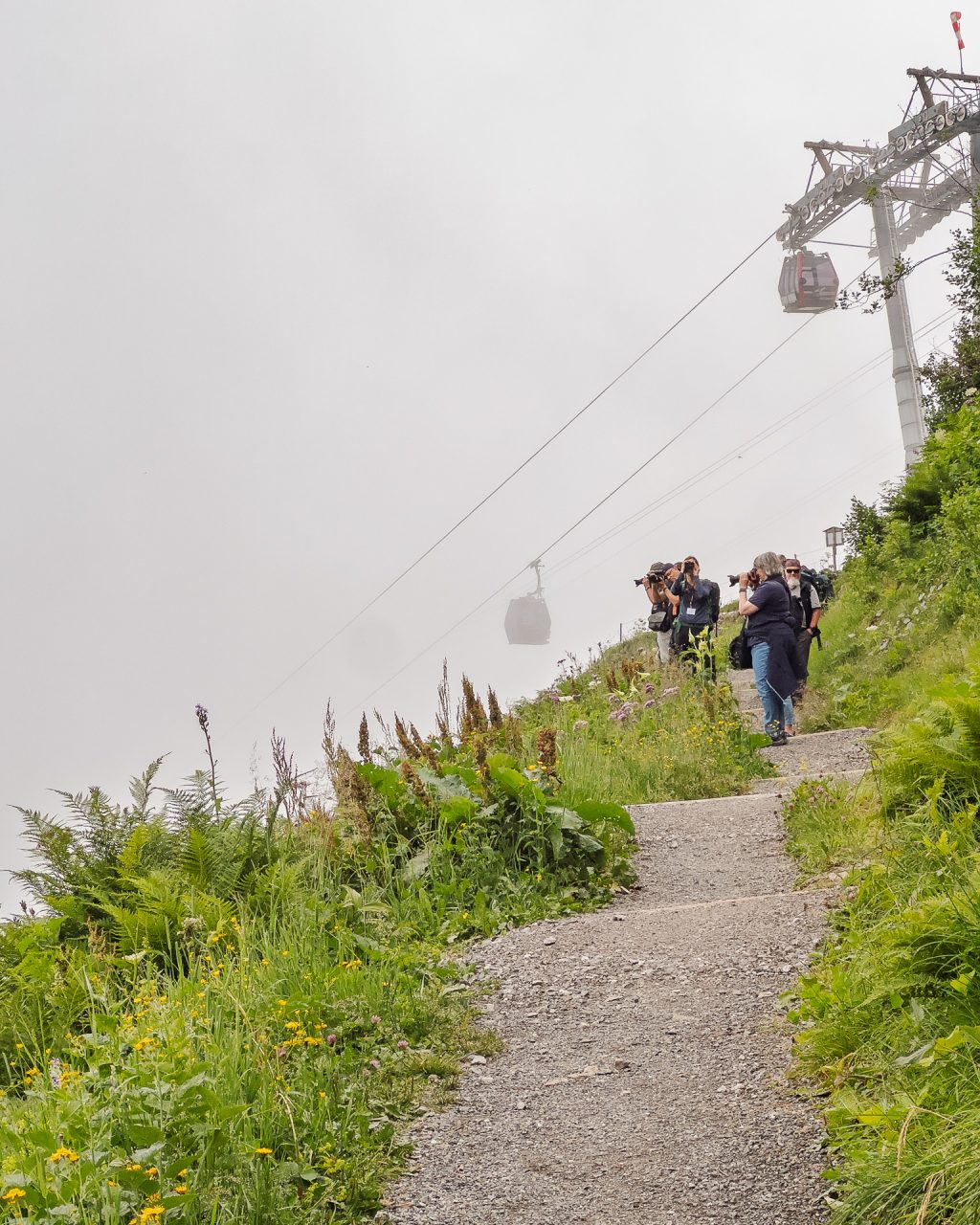 FPC478 - Fotogipfel Oberstdorf: Klaus Wohlmann - Workshopleiter und Fotograf 19 Fotopodcast Einblick in den Workshop "Naturfotografie am Fellhorn/Schappoldsee" mit Klaus Wohlmann
