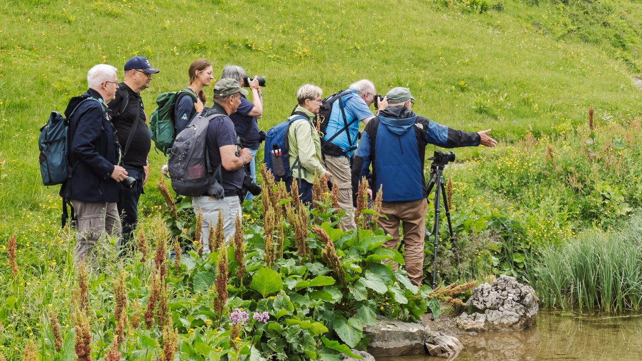 FPC478 - Fotogipfel Oberstdorf: Klaus Wohlmann - Workshopleiter und Fotograf 21 Fotopodcast Einblick in den Workshop "Naturfotografie am Fellhorn/Schappoldsee" mit Klaus Wohlmann