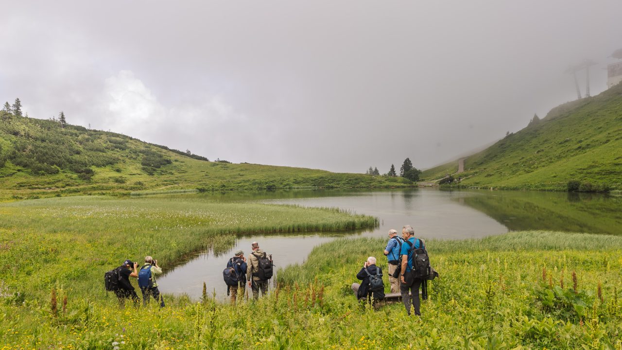 FPC478 - Fotogipfel Oberstdorf: Klaus Wohlmann - Workshopleiter und Fotograf 22 Fotopodcast Einblick in den Workshop "Naturfotografie am Fellhorn/Schappoldsee" mit Klaus Wohlmann